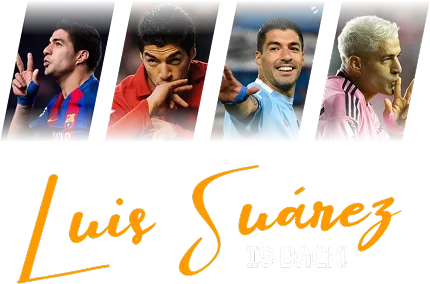 Luis is back mobile